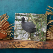 Photo Pied sur la Plaque Riverbank (Côté)