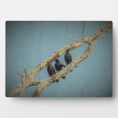 Photo Plaque 3 corbeaux (Devant)