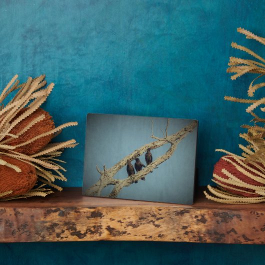 Photo Plaque 3 corbeaux (Côté)