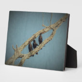 Photo Plaque 3 corbeaux (Côté)