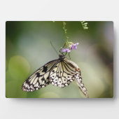 Photo Plaque à papillon Art déco (Devant)