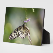 Photo Plaque à papillon Art déco (Côté)