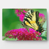 Photo Plaque à papillon Art déco (Devant)