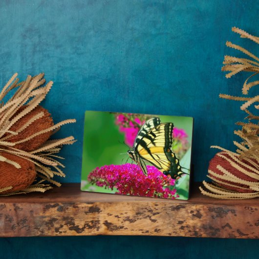 Photo Plaque à papillon Art déco (Côté)