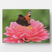 Photo Plaque à papillon Art déco (Devant)