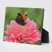 Photo Plaque à papillon Art déco (Côté)