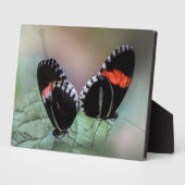 Photo Plaque à papillon Art déco (Côté)
