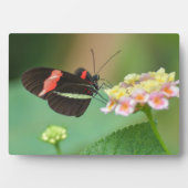 Photo Plaque à papillon Art déco (Devant)