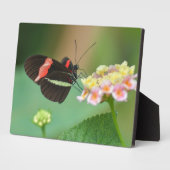 Photo Plaque à papillon Art déco (Côté)