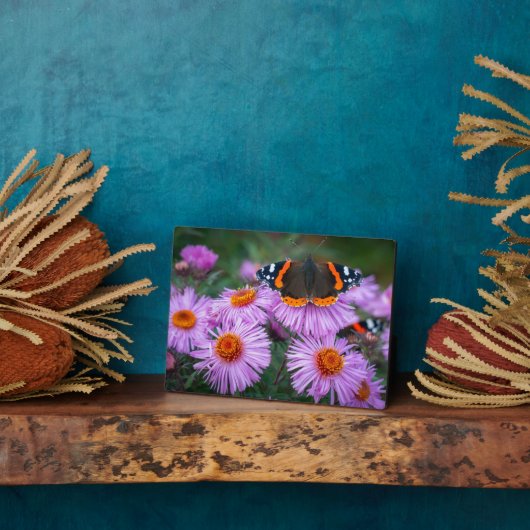 Photo Plaque à papillon Art déco (Côté)