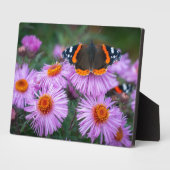 Photo Plaque à papillon Art déco (Côté)
