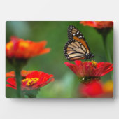 Photo Plaque à papillon Art déco (Devant)