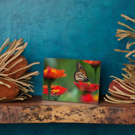 Photo Plaque à papillon Art déco (Côté)