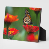 Photo Plaque à papillon Art déco (Côté)