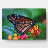Photo Plaque à papillon Art déco (Devant)