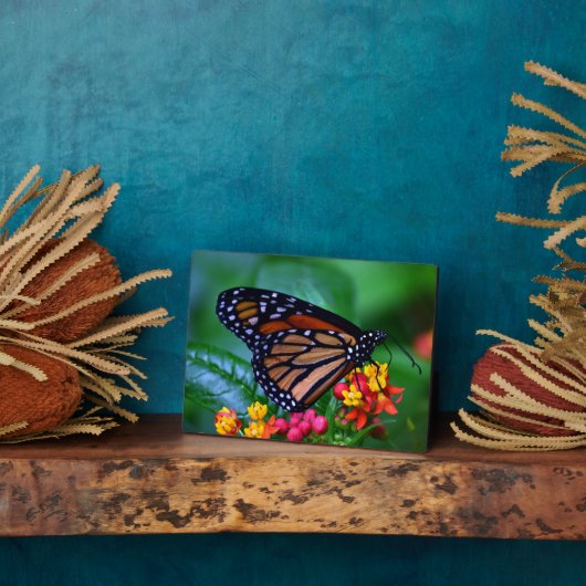 Photo Plaque à papillon Art déco (Côté)