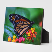 Photo Plaque à papillon Art déco (Côté)
