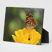 Photo Plaque à papillon Art déco (Côté)