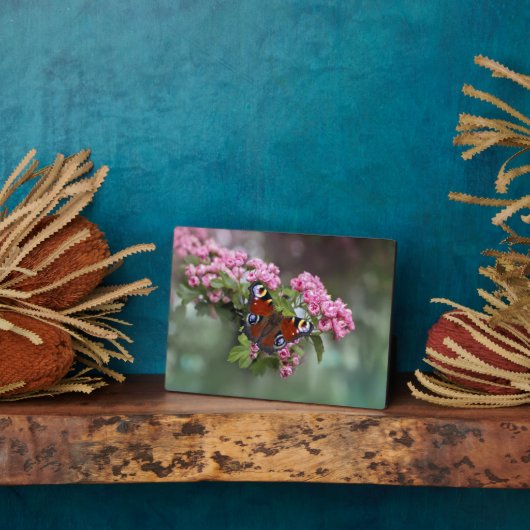 Photo Plaque à papillon Art déco (Côté)