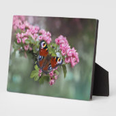Photo Plaque à papillon Art déco (Côté)