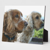 Photo Plaque anglaise de Cocker Spaniel (Côté)