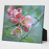 Photo Plaque Apple Blossom #P0356 (Côté)