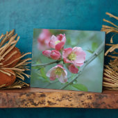 Photo Plaque Apple Blossom #P0356 (Côté)