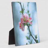 Photo Plaque Apple Blossom #P0365 (Côté)