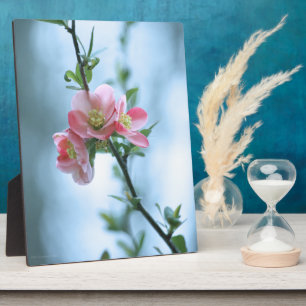 Photo Plaque Apple Blossom #P0365