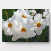 Photo Plaque Art Décor (Devant)