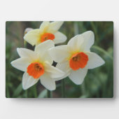 Photo Plaque Art Décor (Devant)