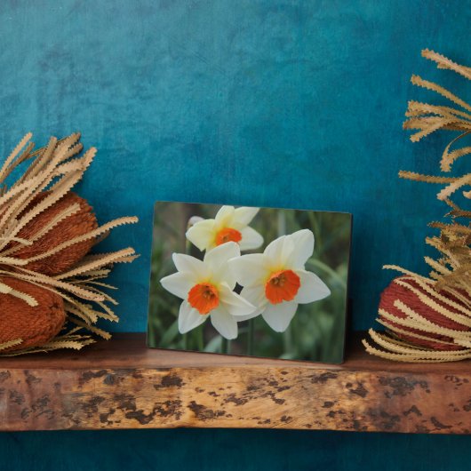 Photo Plaque Art Décor (Côté)