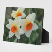 Photo Plaque Art Décor (Côté)