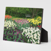 Photo Plaque Art Décor (Côté)