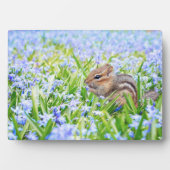 Photo Plaque Art Décor Chipmunk (Devant)