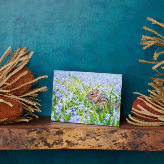 Photo Plaque Art Décor Chipmunk (Côté)