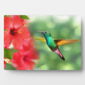Photo Plaque Art Décor-Hummingbird (Devant)