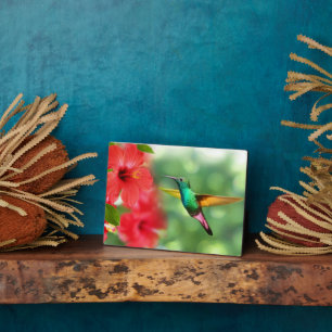 Photo Plaque Art Décor-Hummingbird