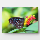 Photo Plaque Art Décor Papillon (Devant)