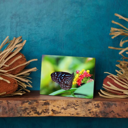 Photo Plaque Art Décor Papillon (Côté)