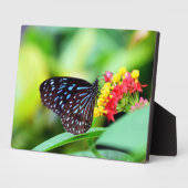 Photo Plaque Art Décor Papillon (Côté)