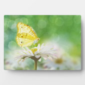 Photo Plaque Art Décor Papillon (Devant)