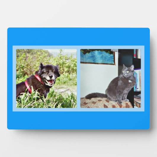 Photo Plaque avec des images de animal (Devant)