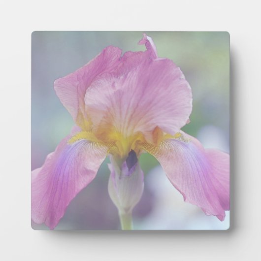 Photo Plaque avec Easle L'Iris dans les Pastels (Devant)