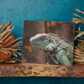 Photo Plaque avec lézard Iguana coloré (Côté)