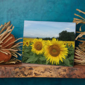 Photo Plaque avec tournesol (Côté)