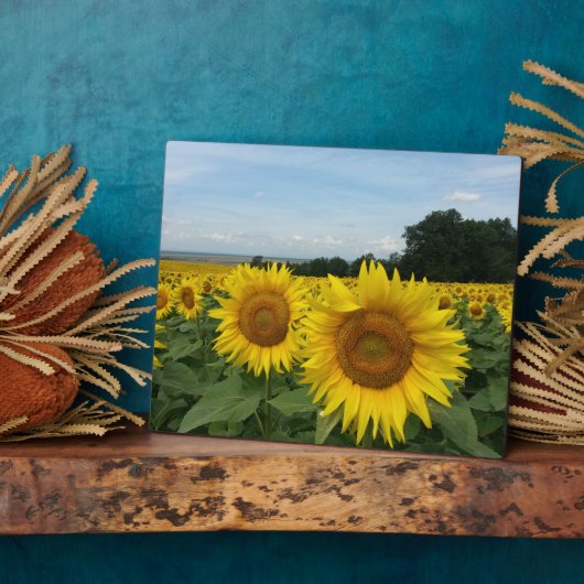 Photo Plaque avec tournesol (Côté)