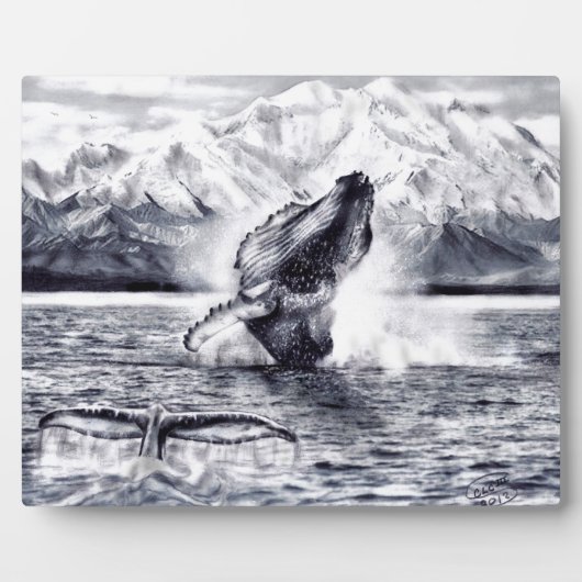 Photo Plaque baleines (Devant)