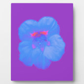 Photo Plaque bleu clair Nasturtium (Devant)