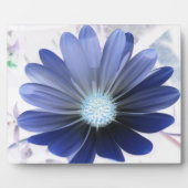 Photo Plaque bleue céleste (Devant)